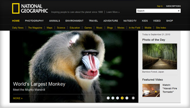 至尊版无敌的在线DDOS压力测试网页端